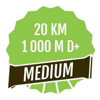 20 km